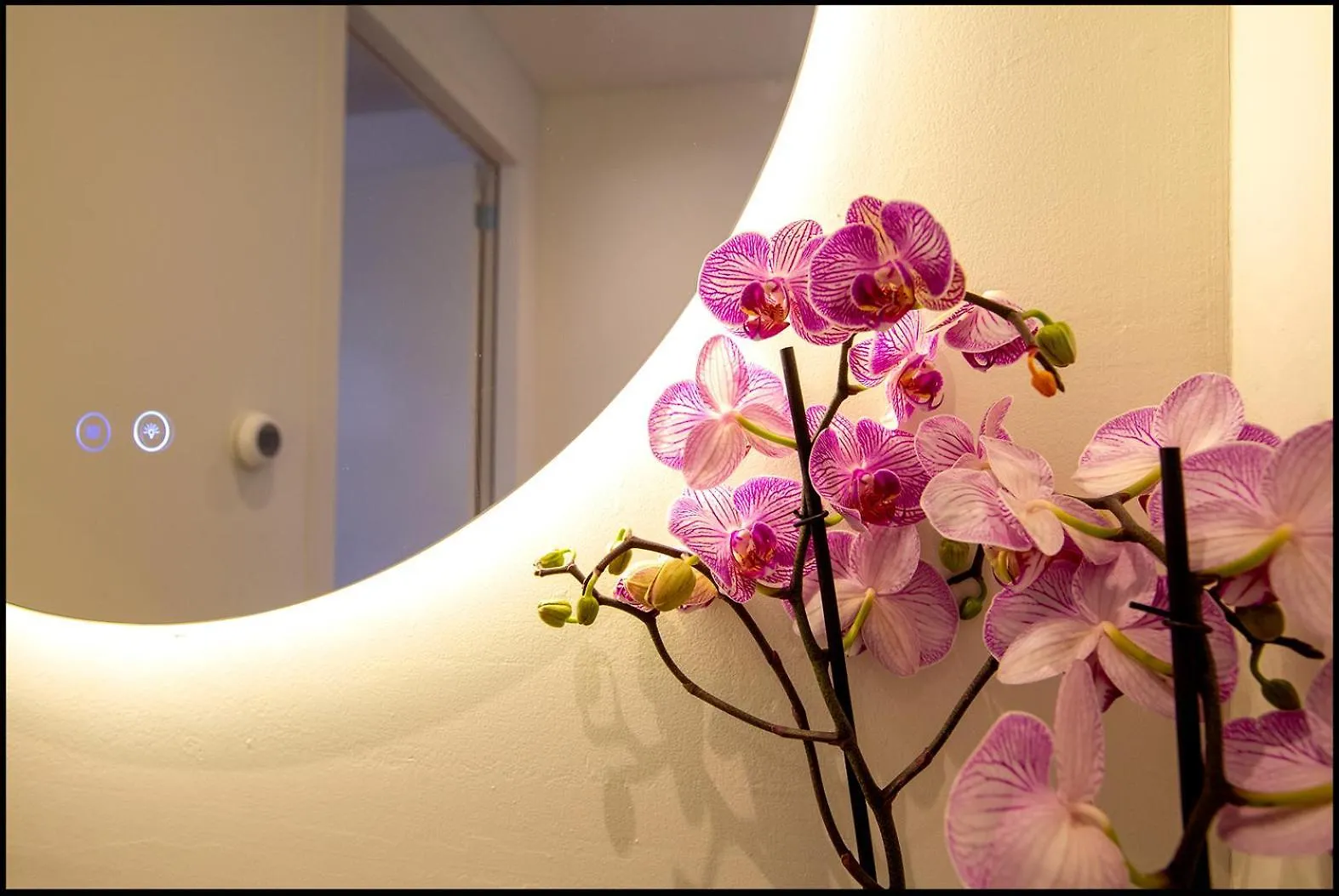 Michaelsark Apartment Amsterdam